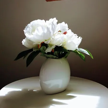 Cozy شقة بوويتش