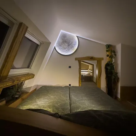 Cozy Apartment