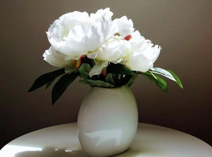 Cozy דירה בובק